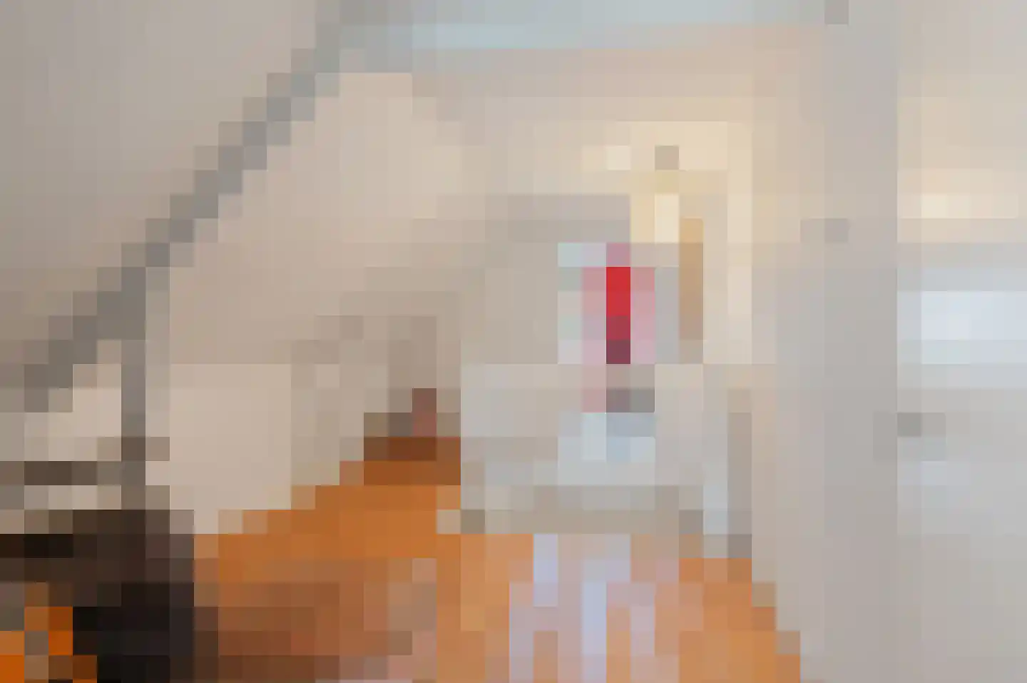 Veenweg 101 Beerta thumbnail 29