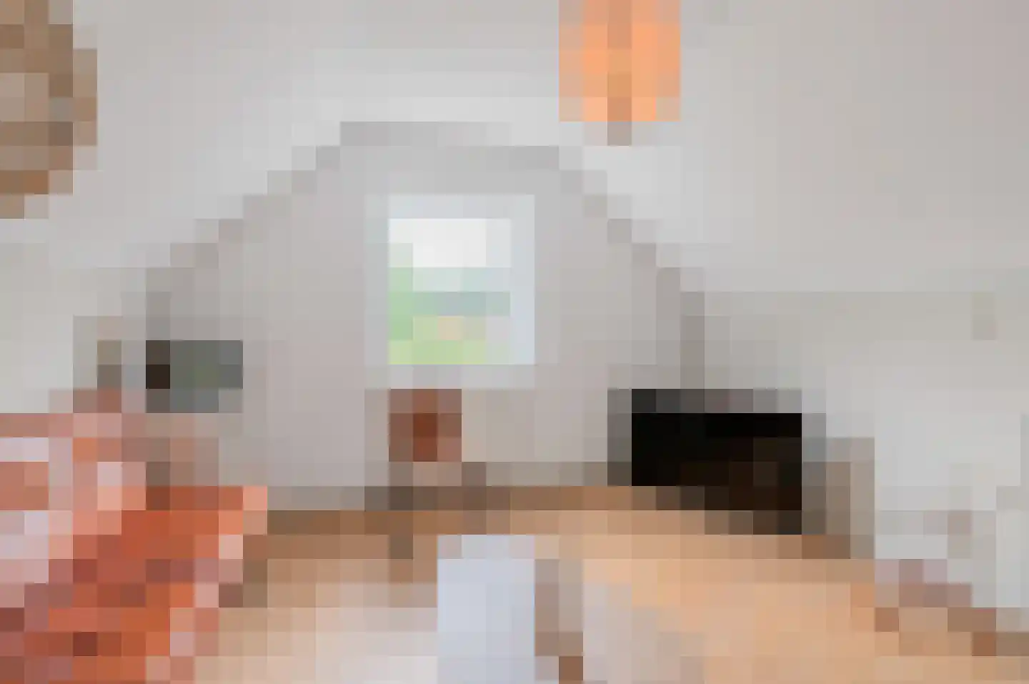 Veenweg 101 Beerta thumbnail 31