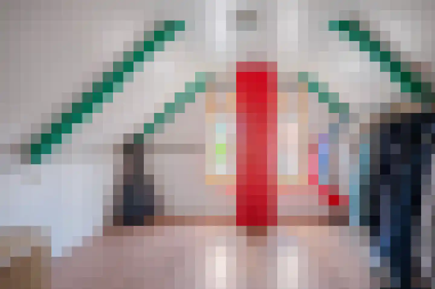 Veenweg 101 Beerta thumbnail 34