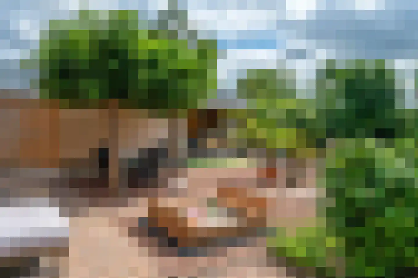 Veenweg 101 Beerta thumbnail 38