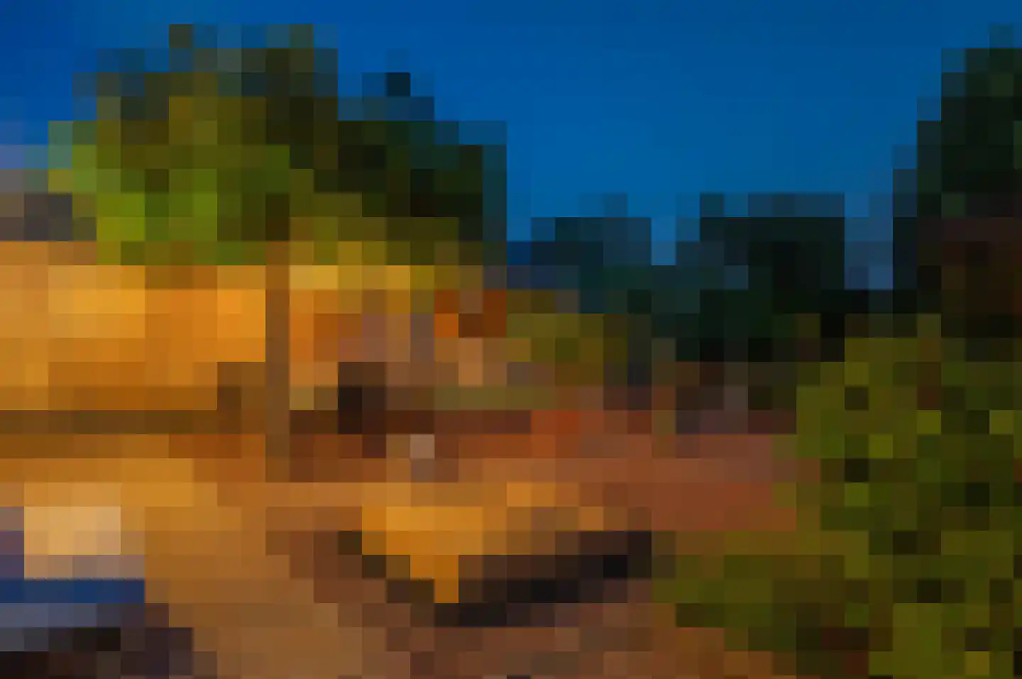 Veenweg 101 Beerta thumbnail 39