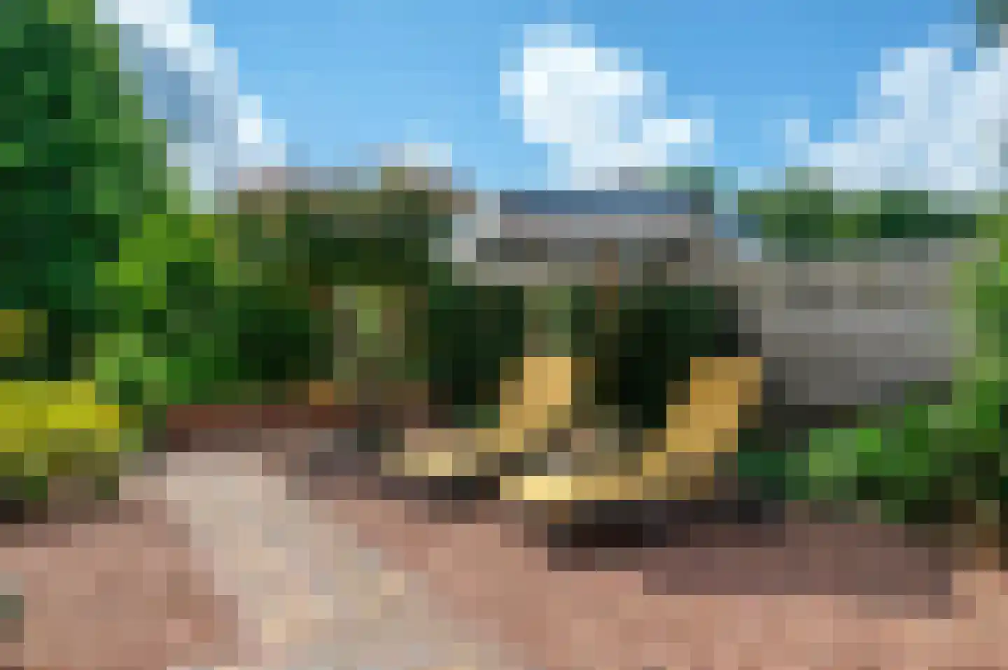 Veenweg 101 Beerta thumbnail 46