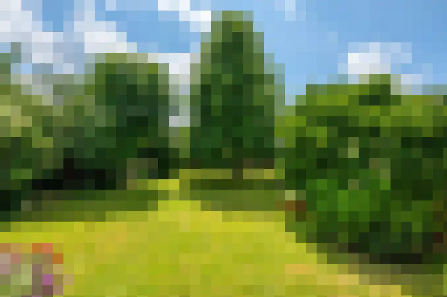 Veenweg 101 Beerta thumbnail 47