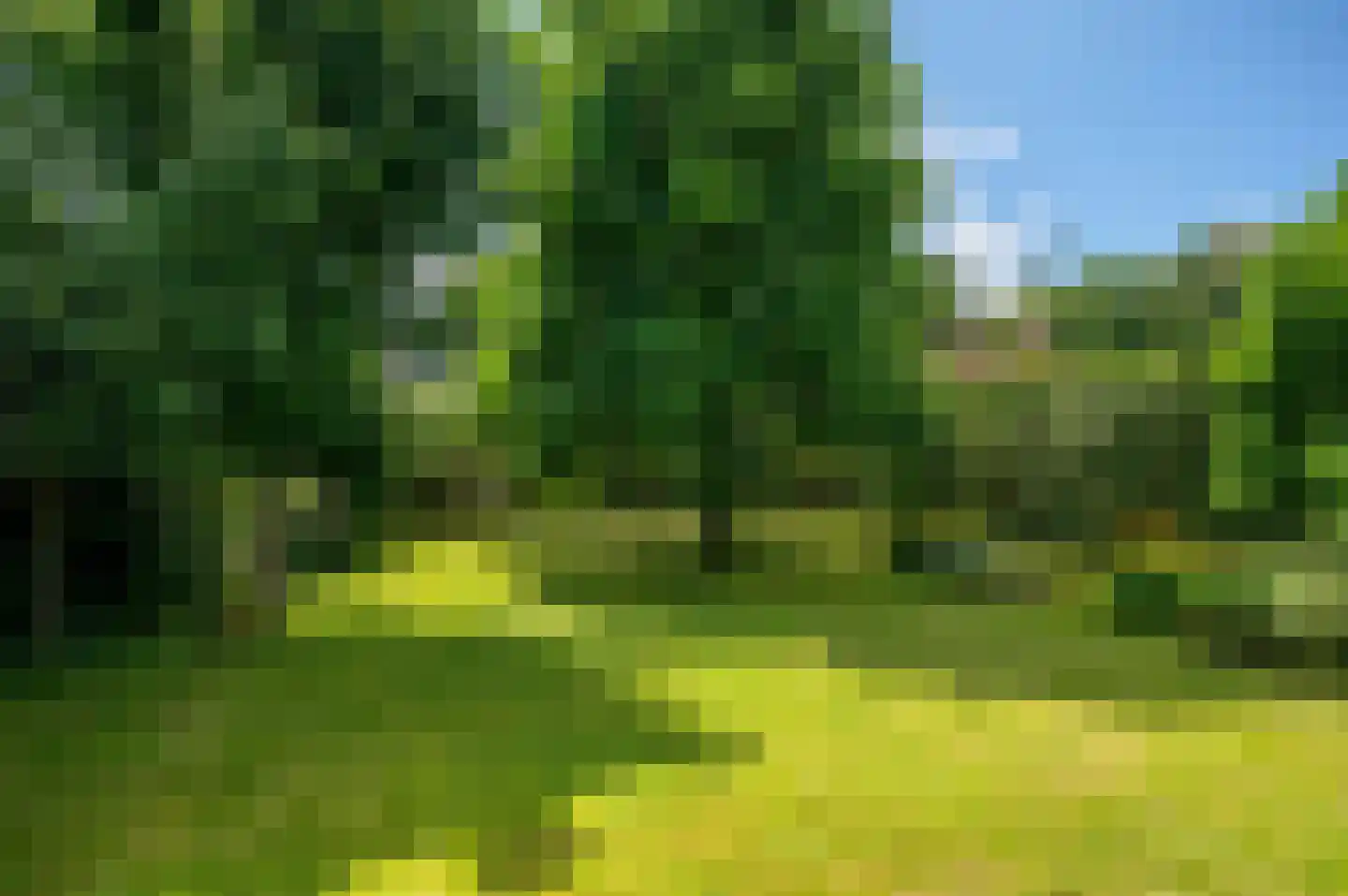 Veenweg 101 Beerta thumbnail 48