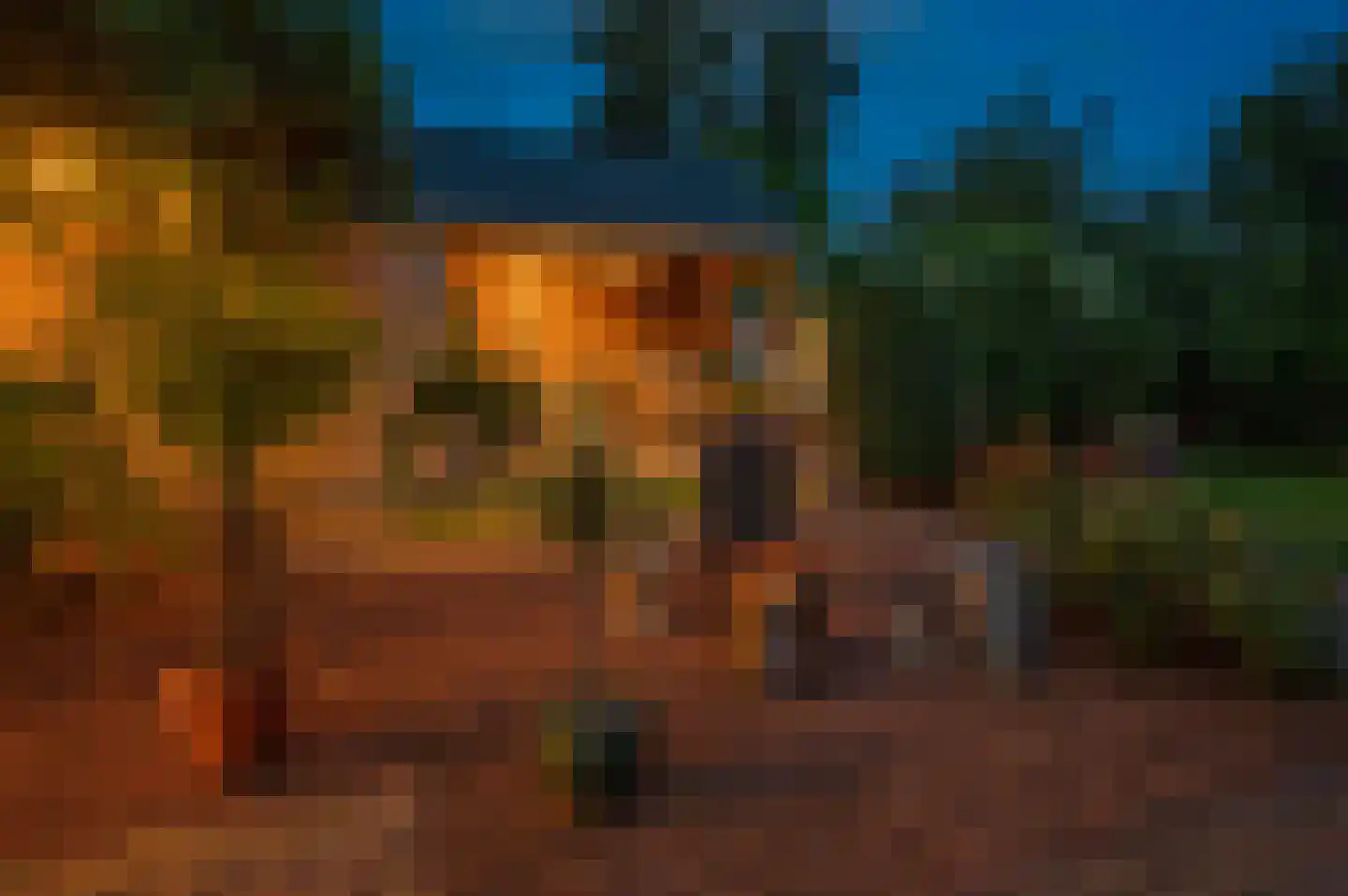 Veenweg 101 Beerta thumbnail 5