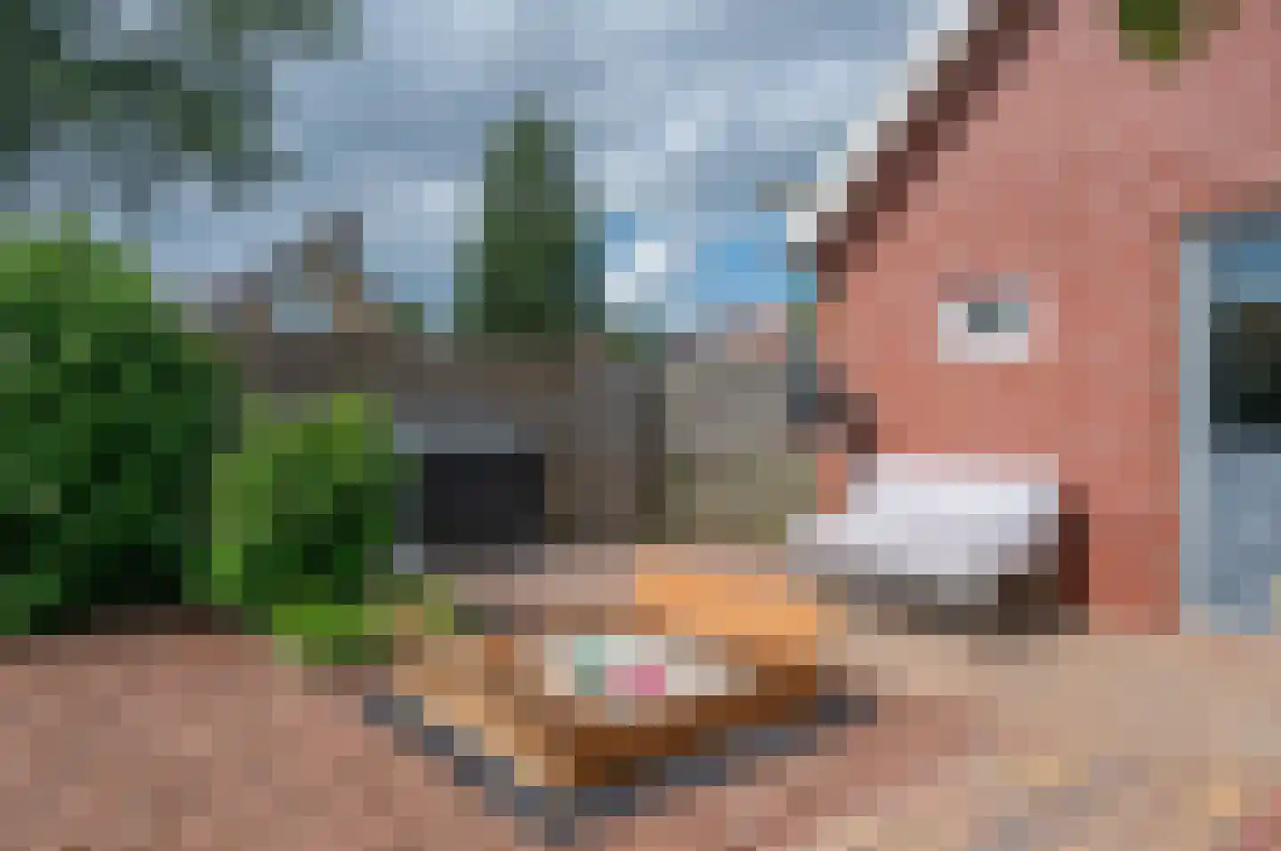 Veenweg 101 Beerta thumbnail 52