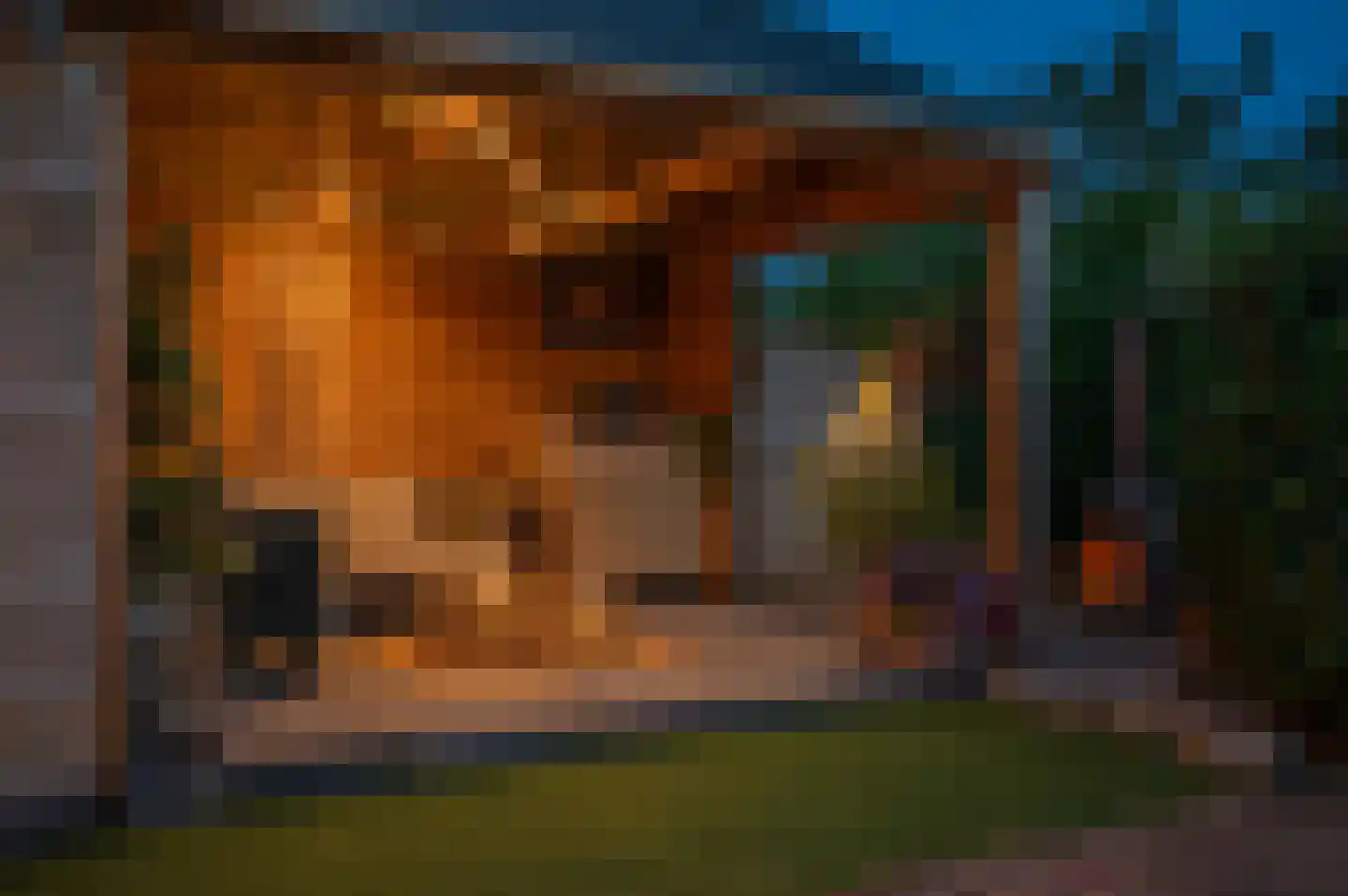 Veenweg 101 Beerta thumbnail 6
