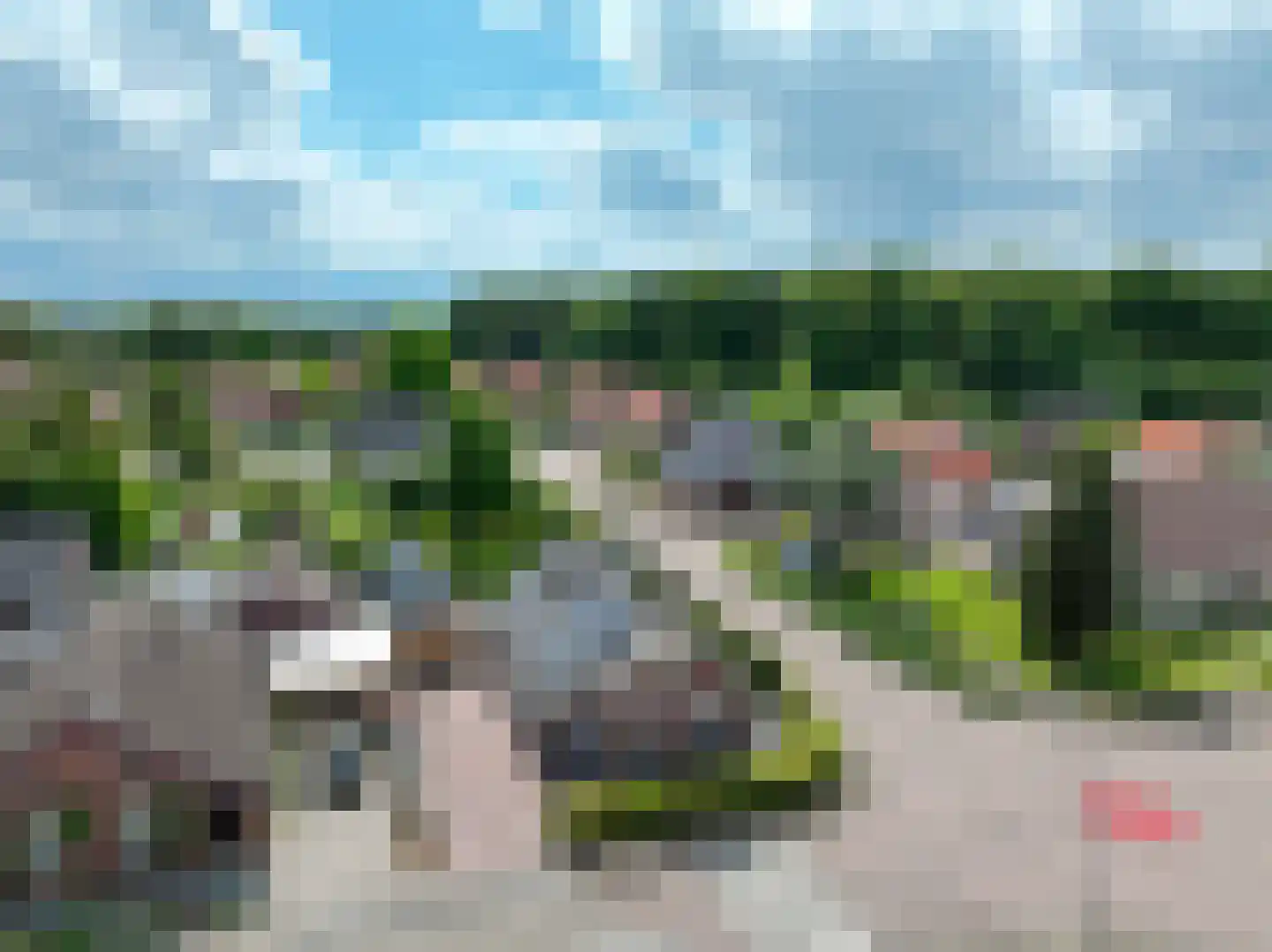 Veenweg 101 Beerta thumbnail 8