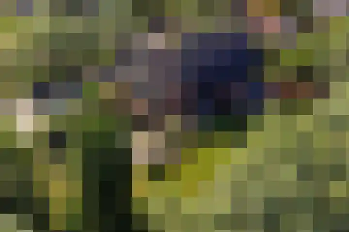 Veenweg 131 in Den Haag