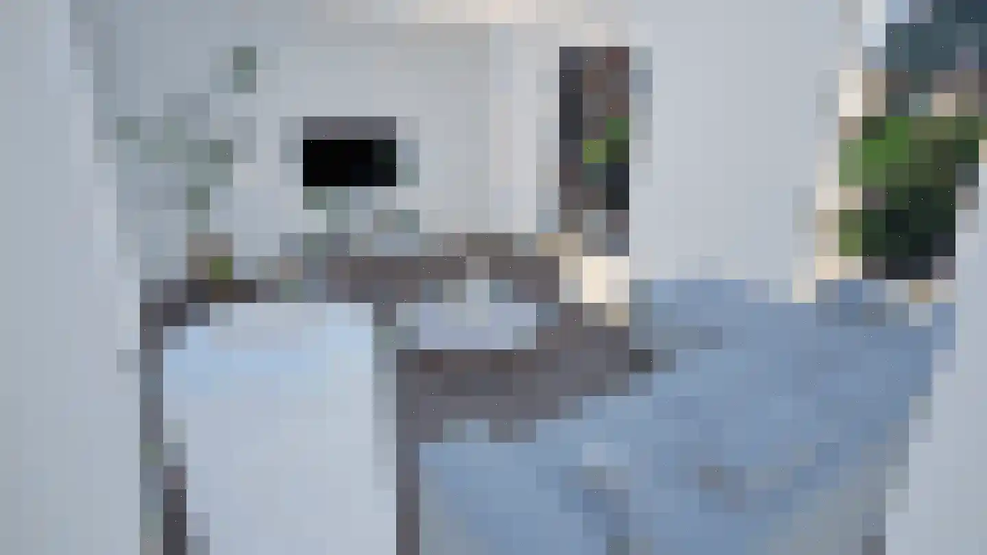 Veenweg 139 Wehl thumbnail 12