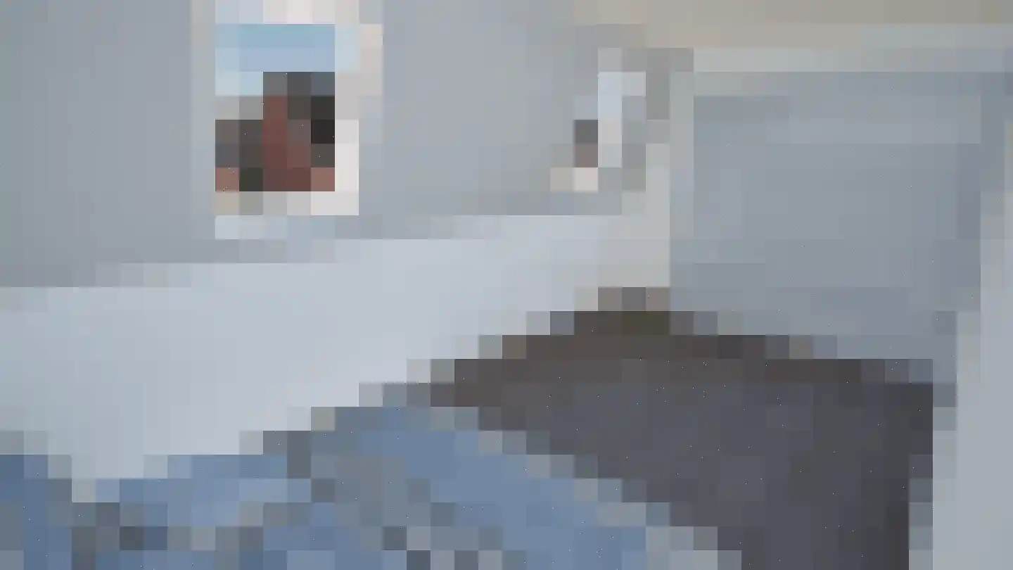 Veenweg 139 Wehl thumbnail 14