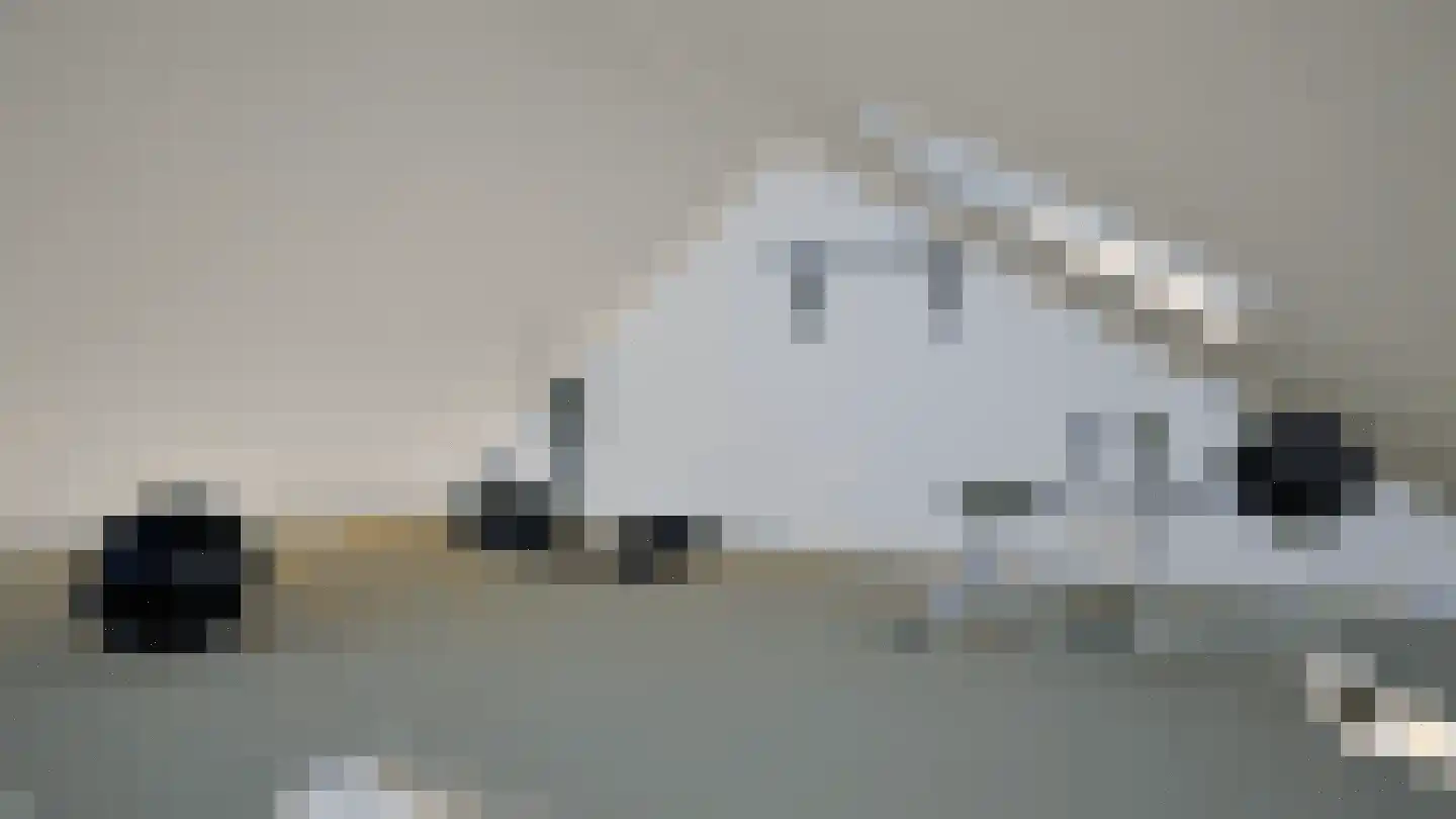 Veenweg 139 Wehl thumbnail 18