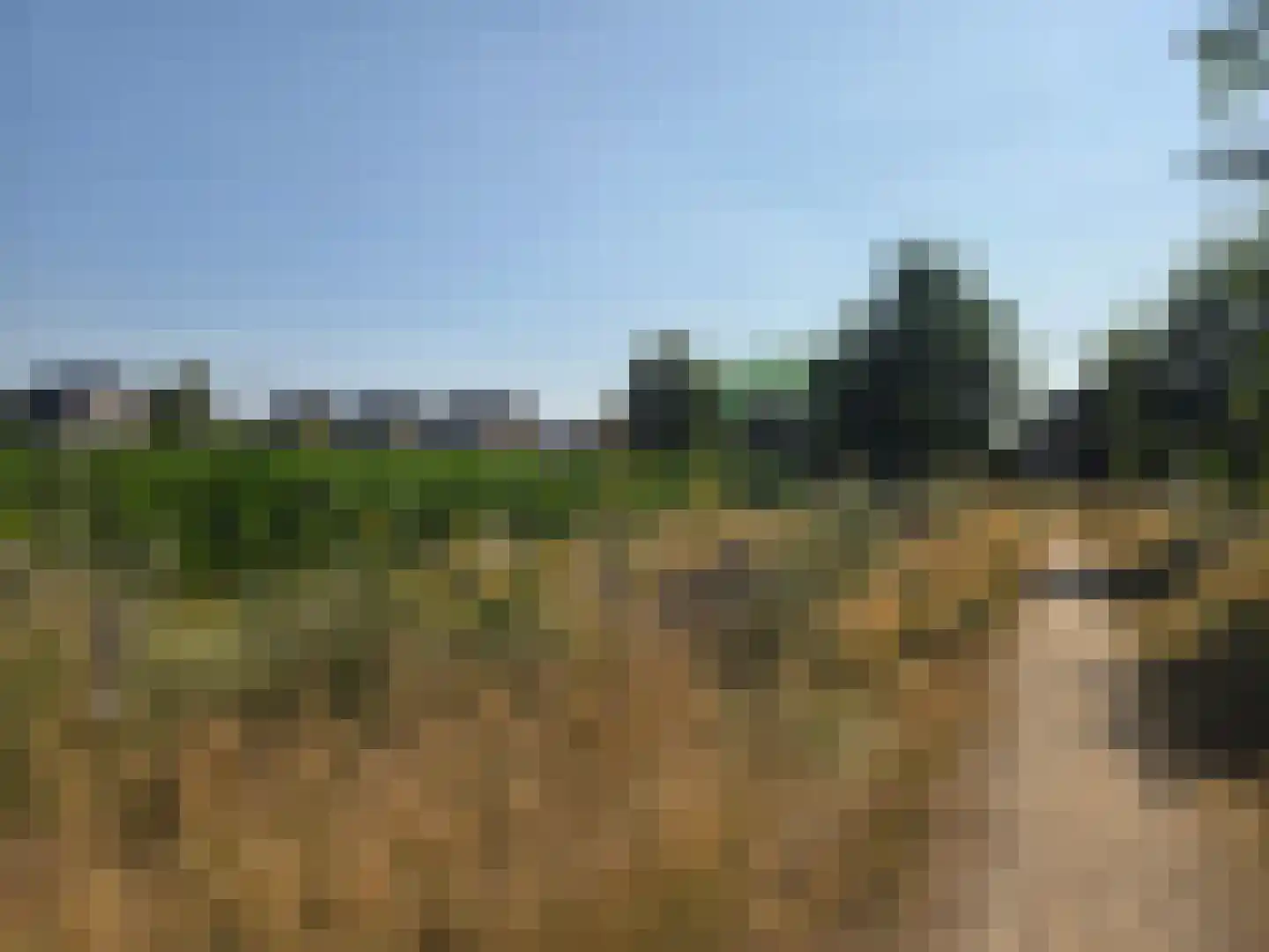Veenweg 139 Wehl thumbnail 20