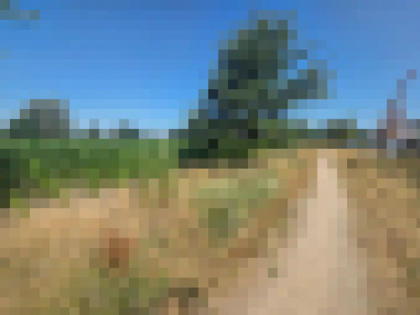 Veenweg 139 Wehl thumbnail 21