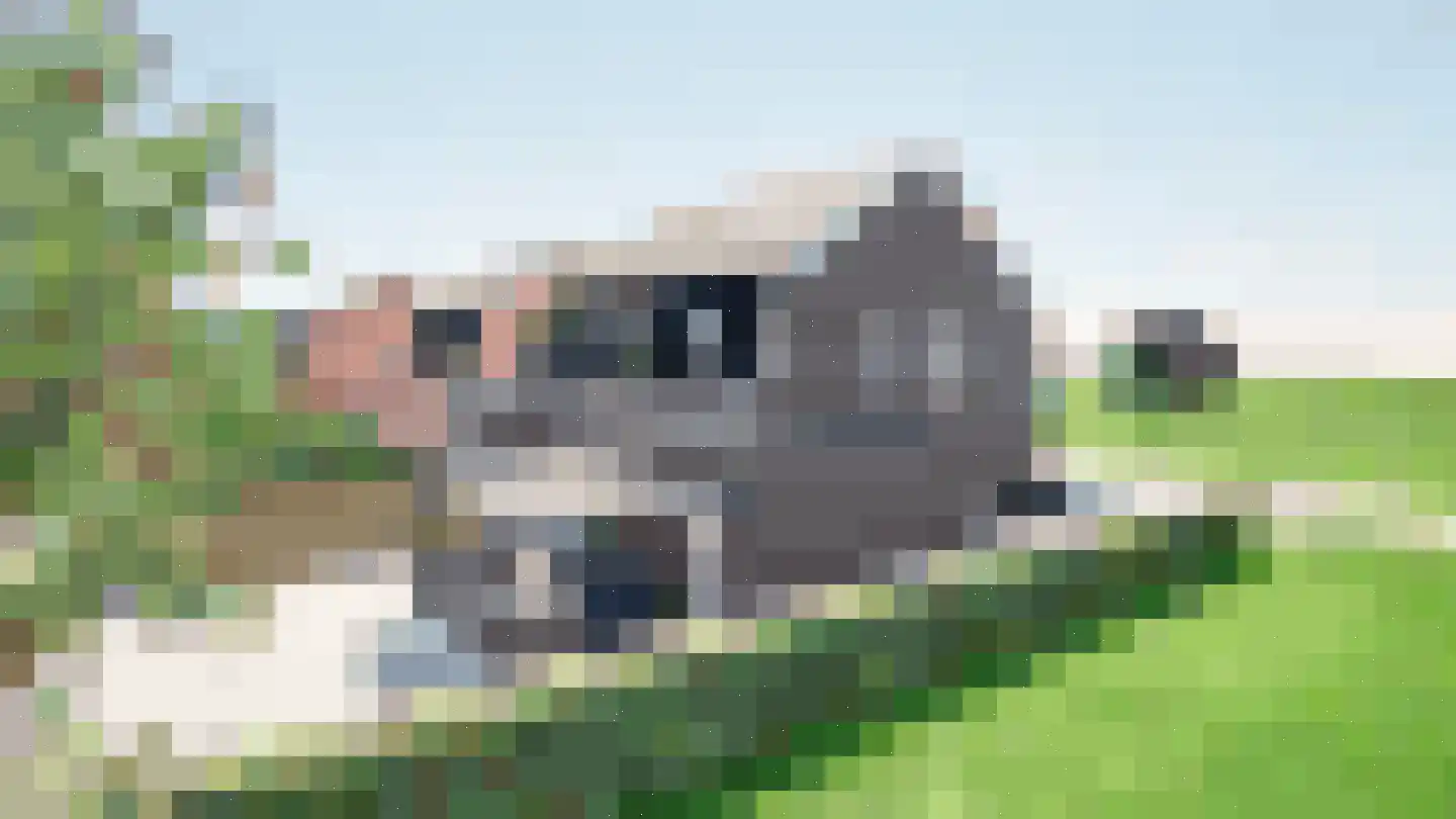 Veenweg 139 Wehl thumbnail 7