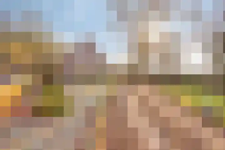 Veenweg 14 Westerlee thumbnail 14