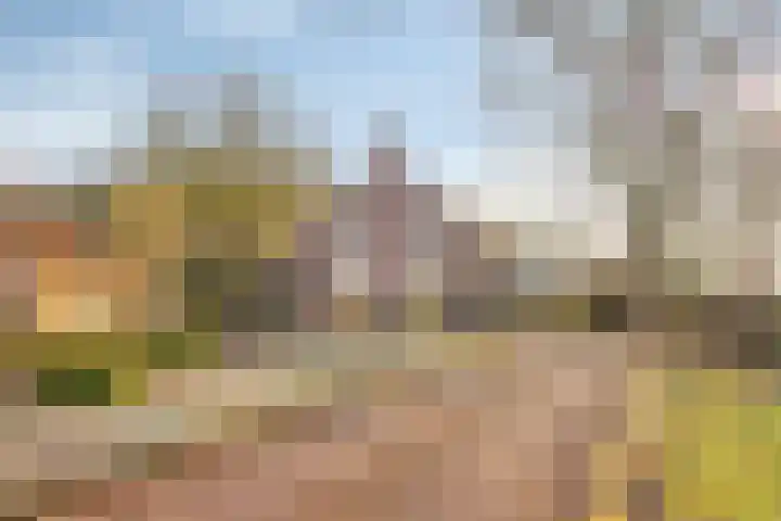 Veenweg 14 Westerlee thumbnail 15