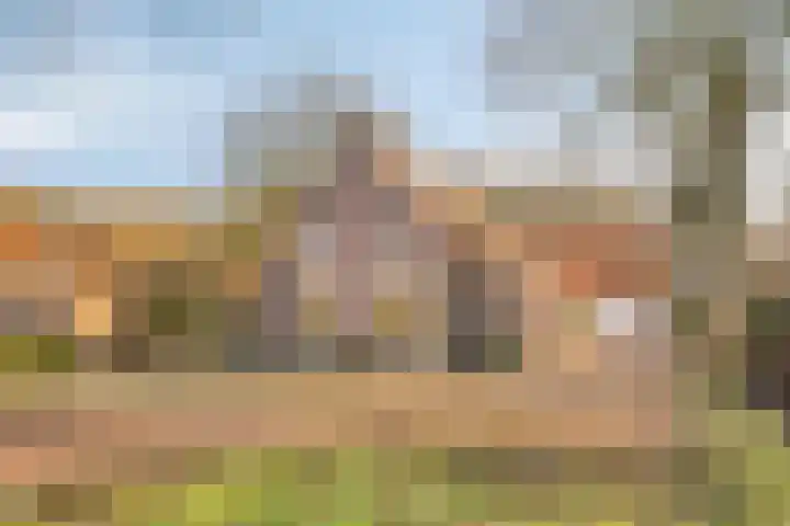 Veenweg 14 Westerlee thumbnail 16