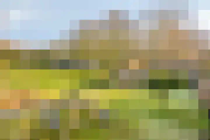 Veenweg 14 Westerlee thumbnail 42