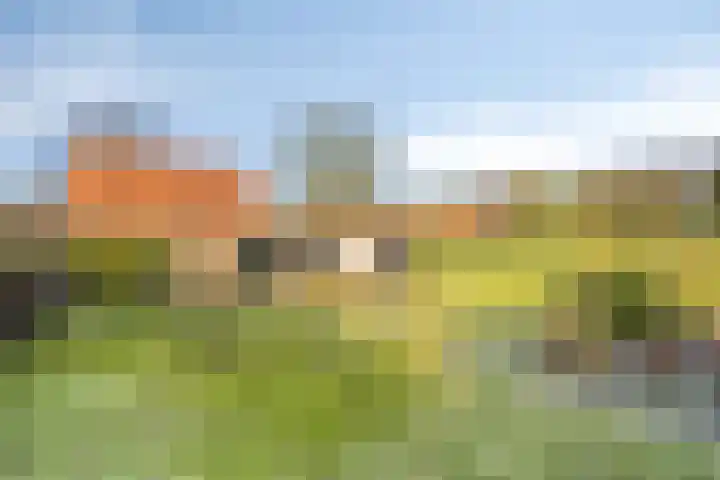 Veenweg 14 Westerlee thumbnail 44