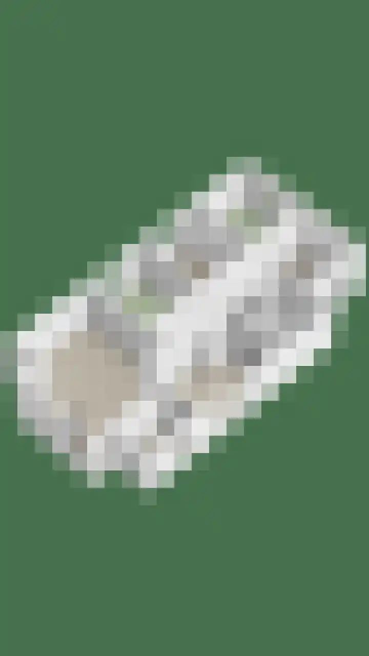 Veenweg 14 Westerlee thumbnail 53