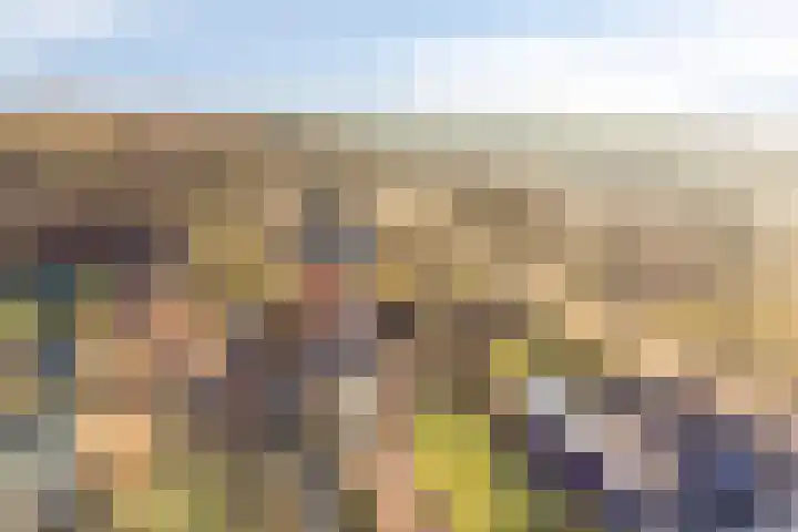 Veenweg 14 Westerlee thumbnail 8