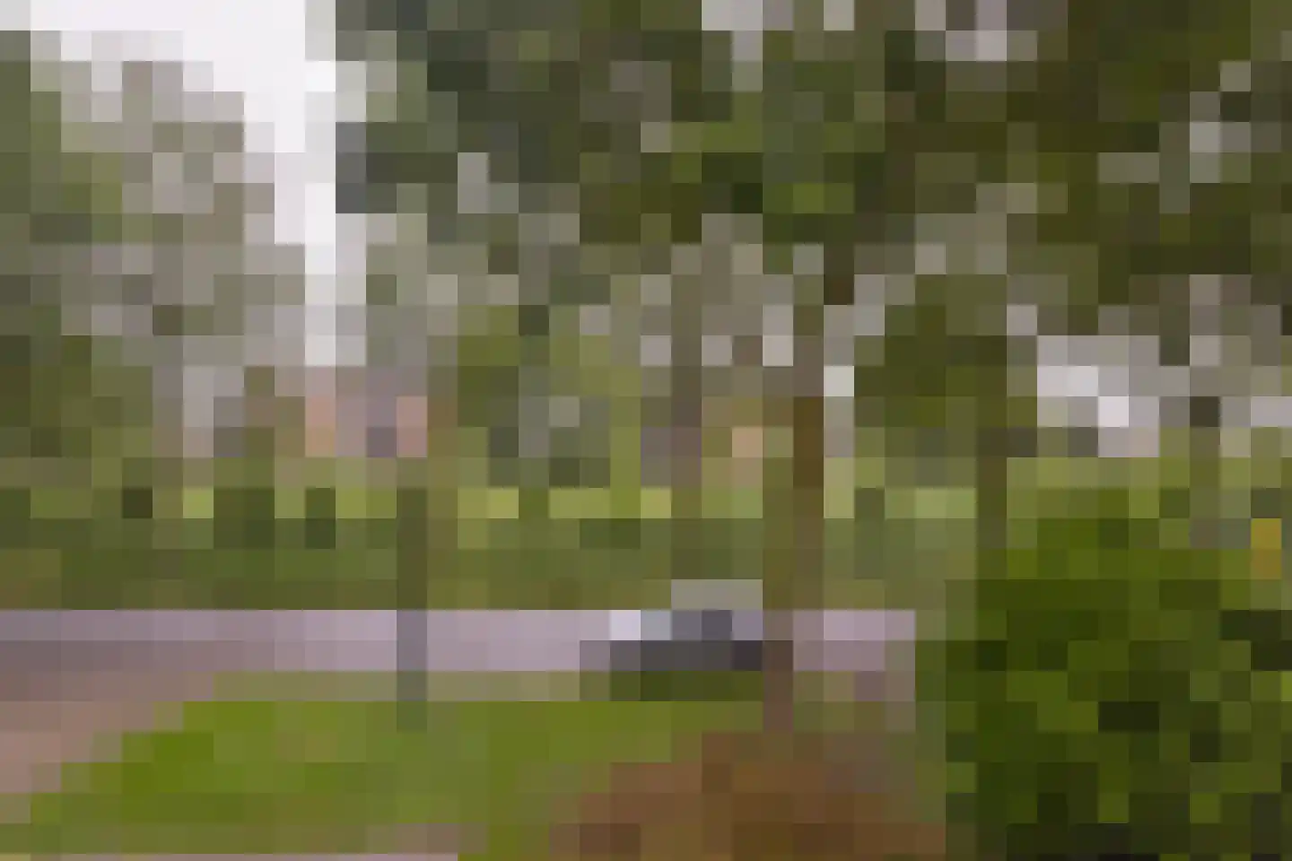 Veenweg 140 Wilnis thumbnail 20