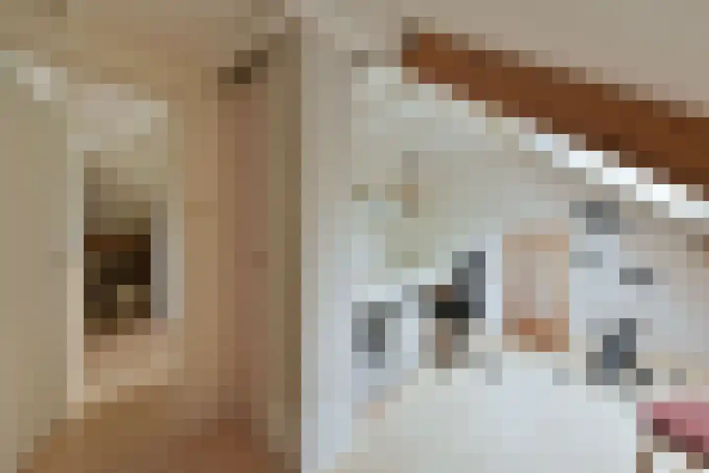 Veenweg 140 Wilnis thumbnail 28