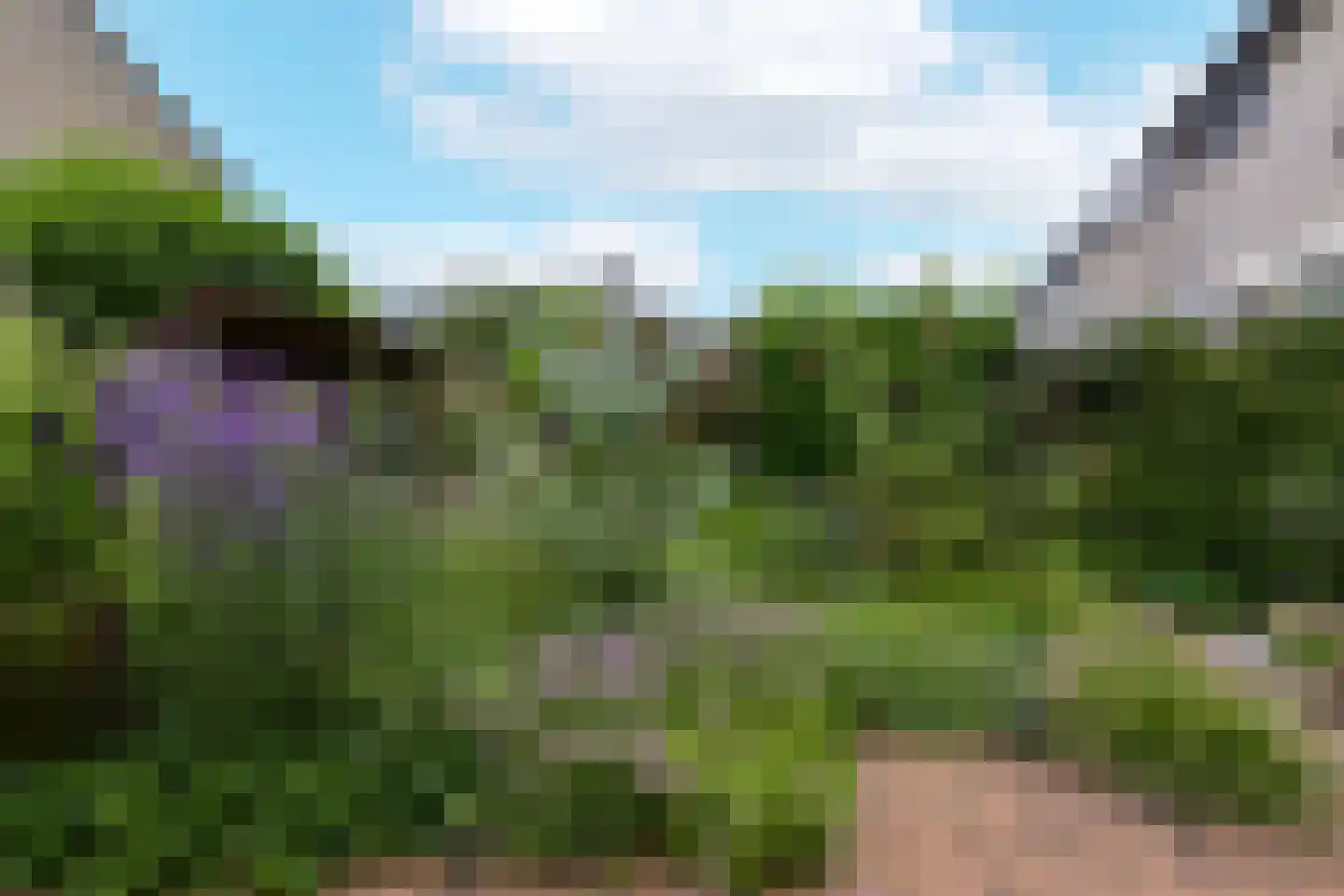 Veenweg 140 Wilnis thumbnail 36