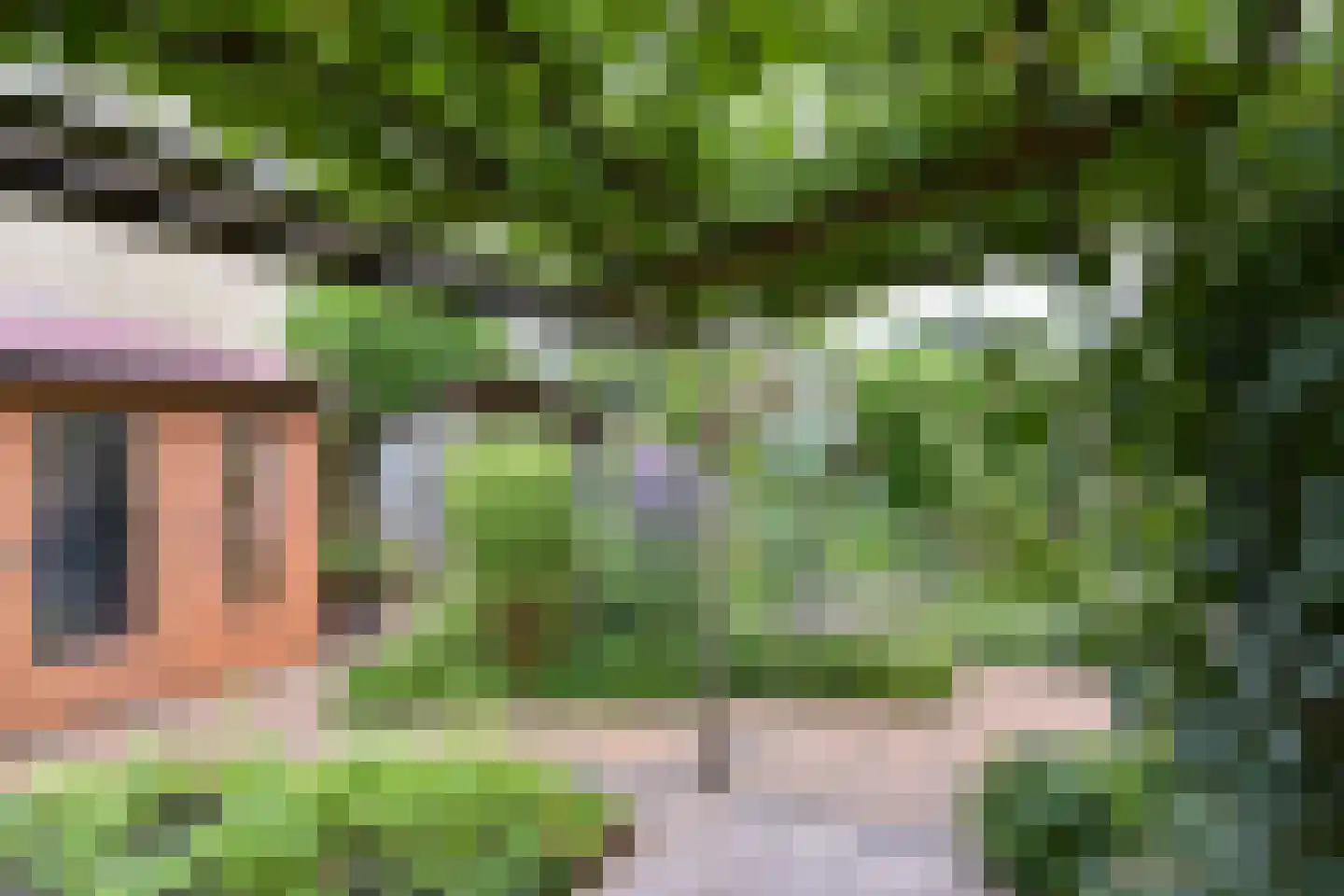 Veenweg 140 Wilnis thumbnail 39
