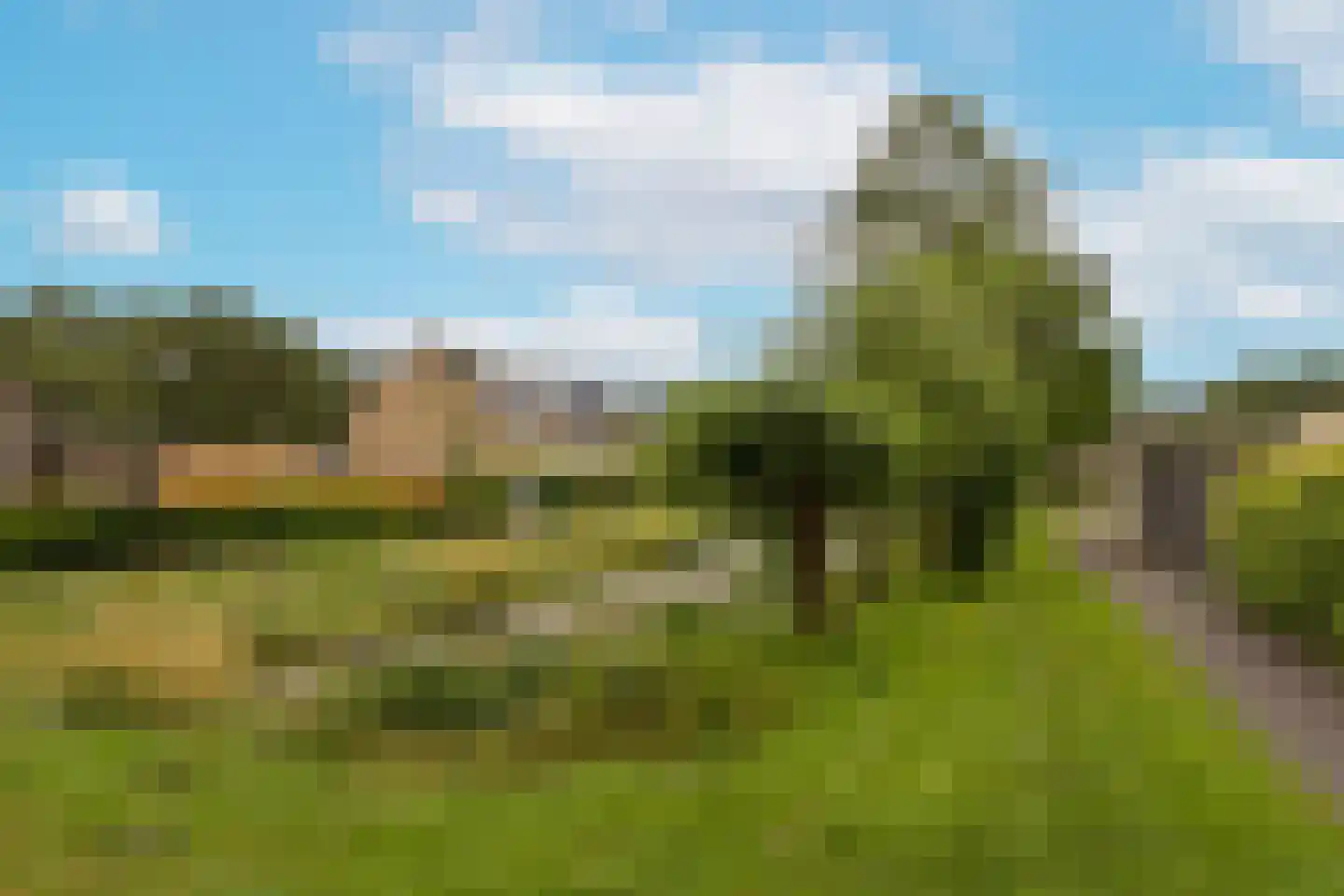 Veenweg 140 Wilnis thumbnail 41
