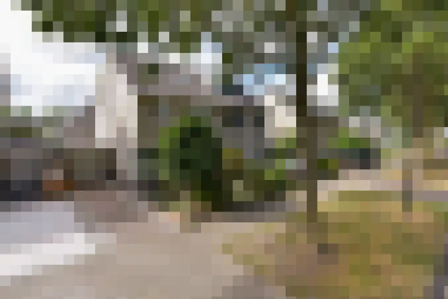 Veenweg 140 Wilnis thumbnail 5