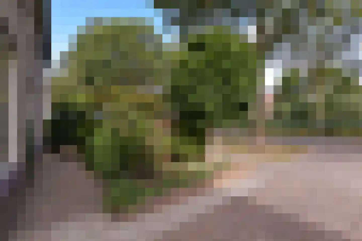 Veenweg 140 Wilnis thumbnail 6