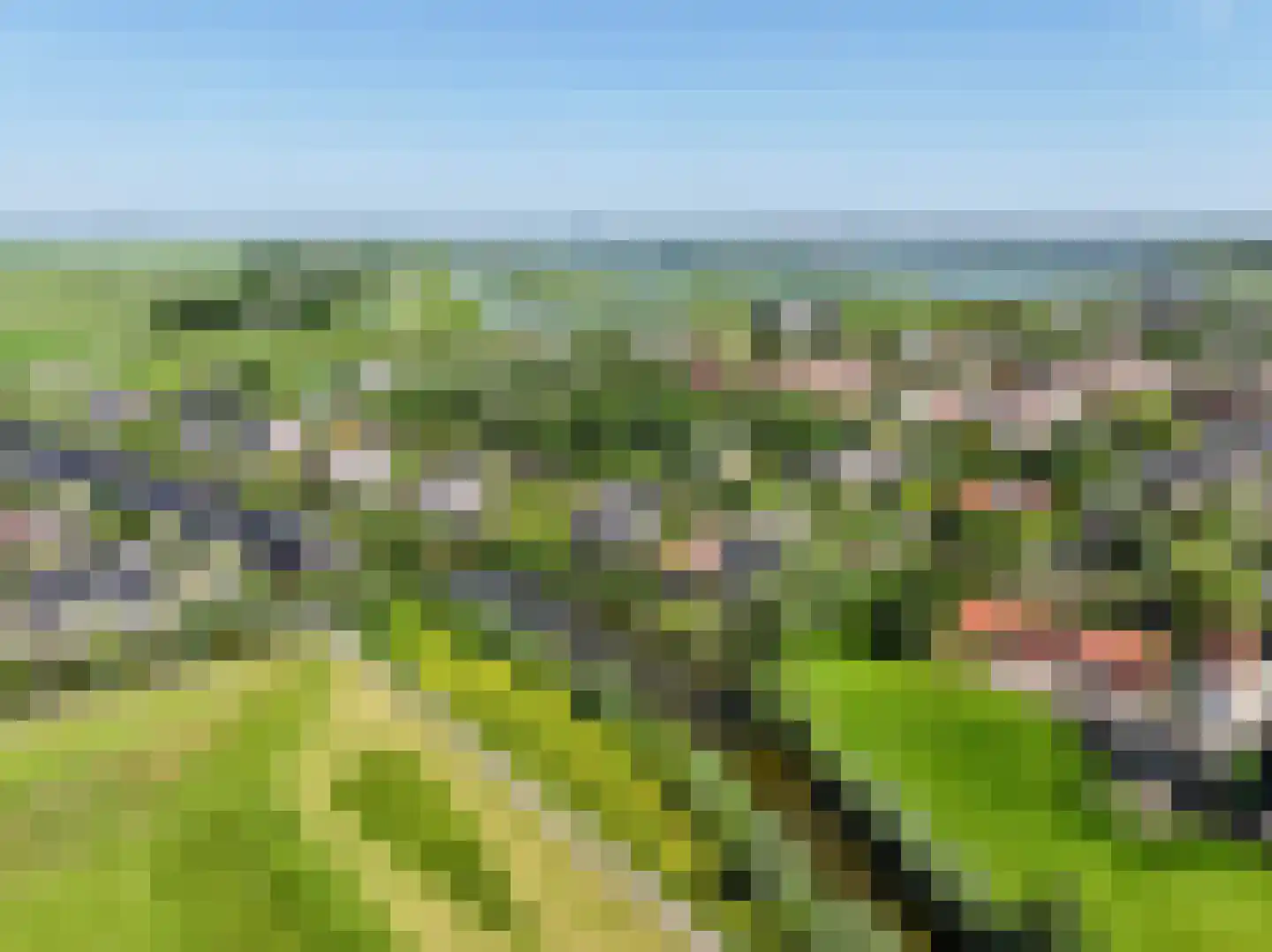 Veenweg 143 Den Haag thumbnail 106