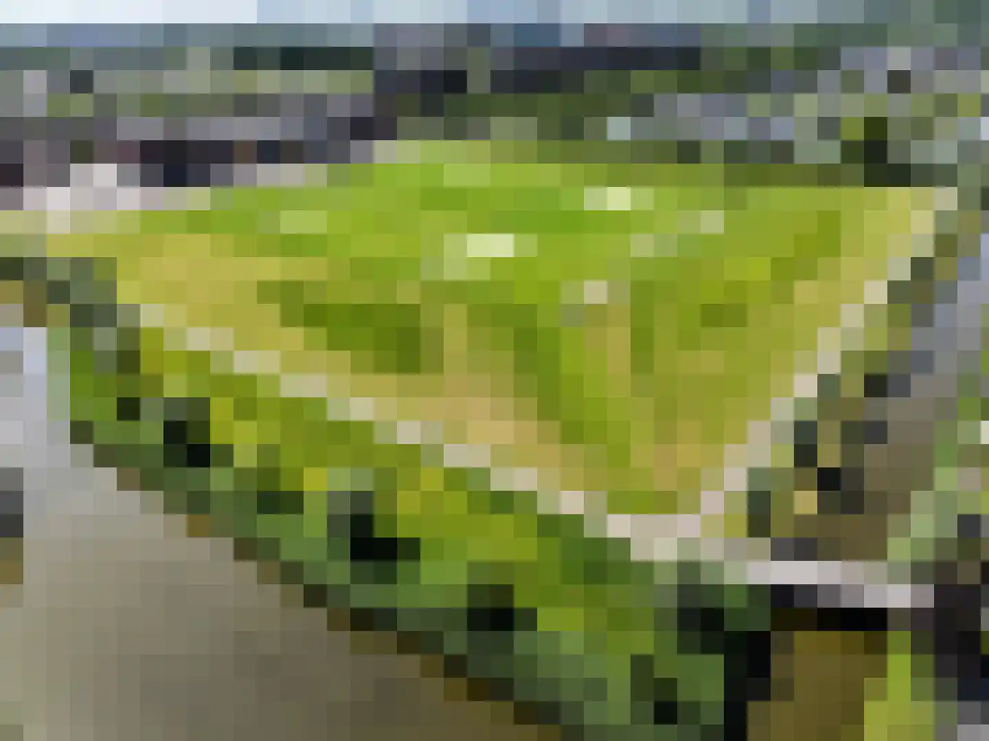 Veenweg 143 Den Haag thumbnail 108