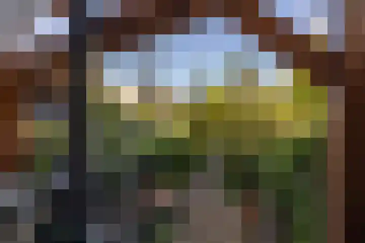 Veenweg 146 Deventer thumbnail 43