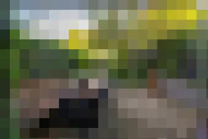 Veenweg 146 Deventer thumbnail 46