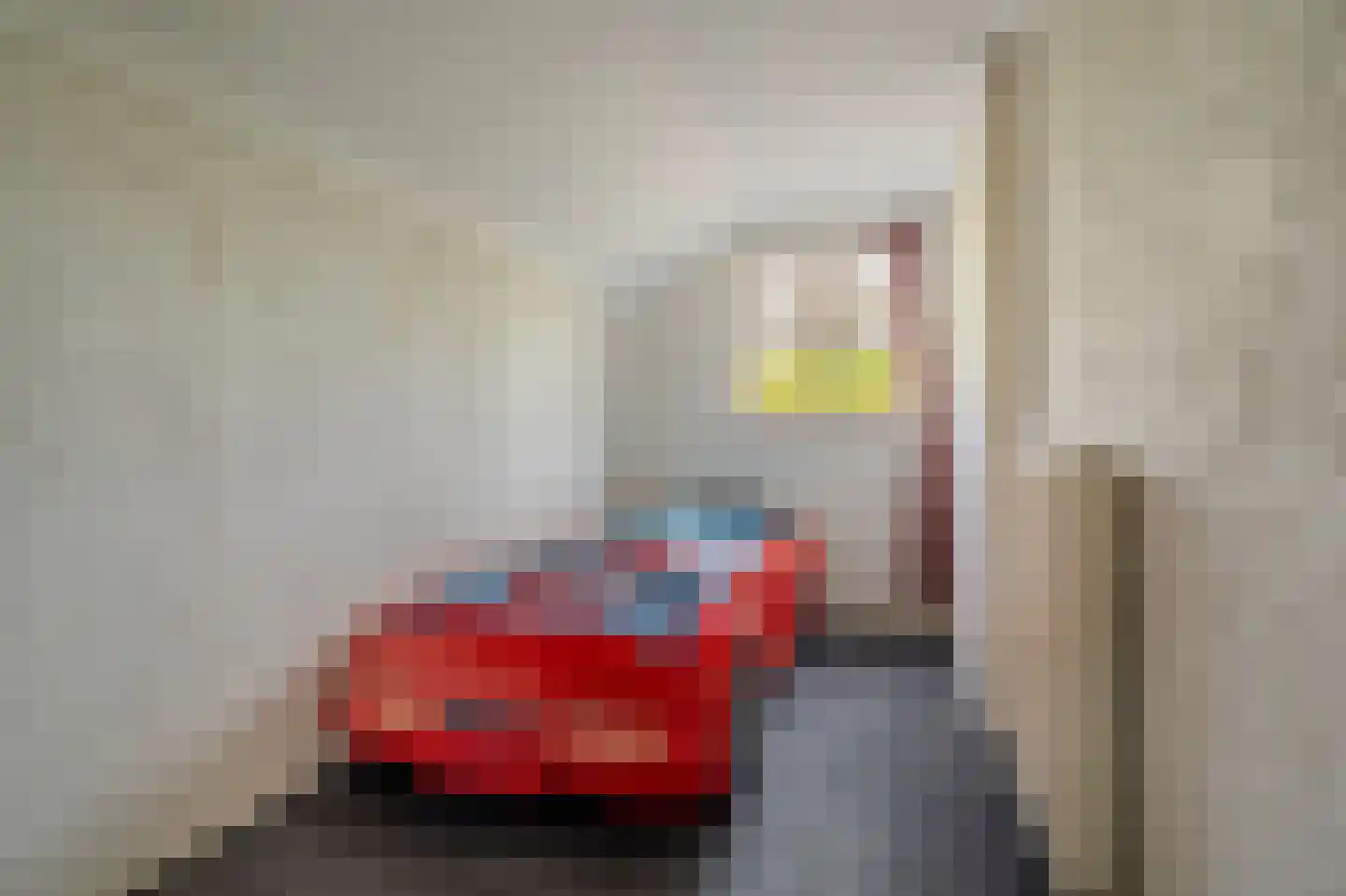 Veenweg 15 Beerta thumbnail 10
