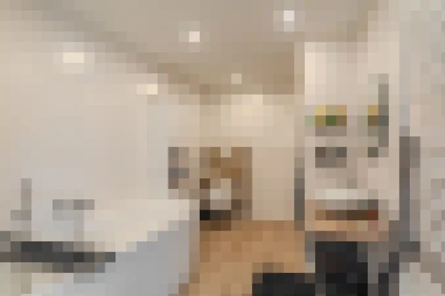 Veenweg 15 Beerta thumbnail 18