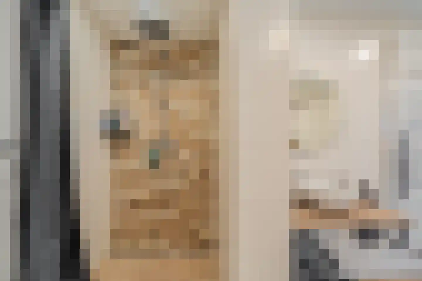 Veenweg 15 Beerta thumbnail 19