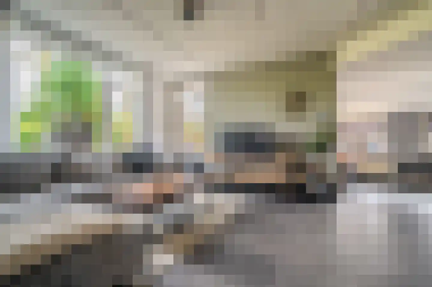 Veenweg 15 Beerta thumbnail 8