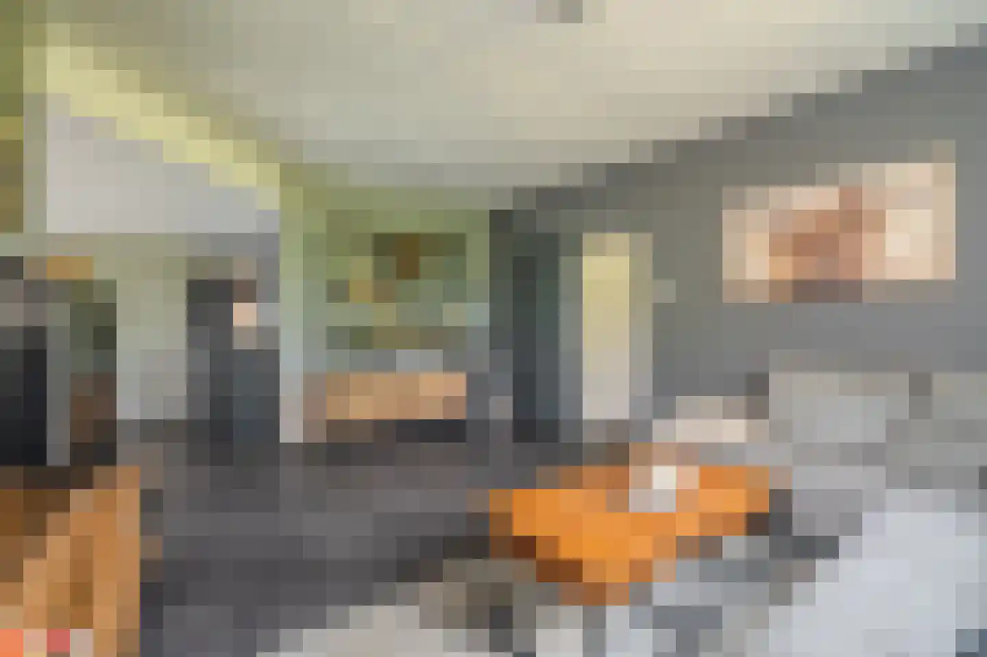 Veenweg 15 Beerta thumbnail 9