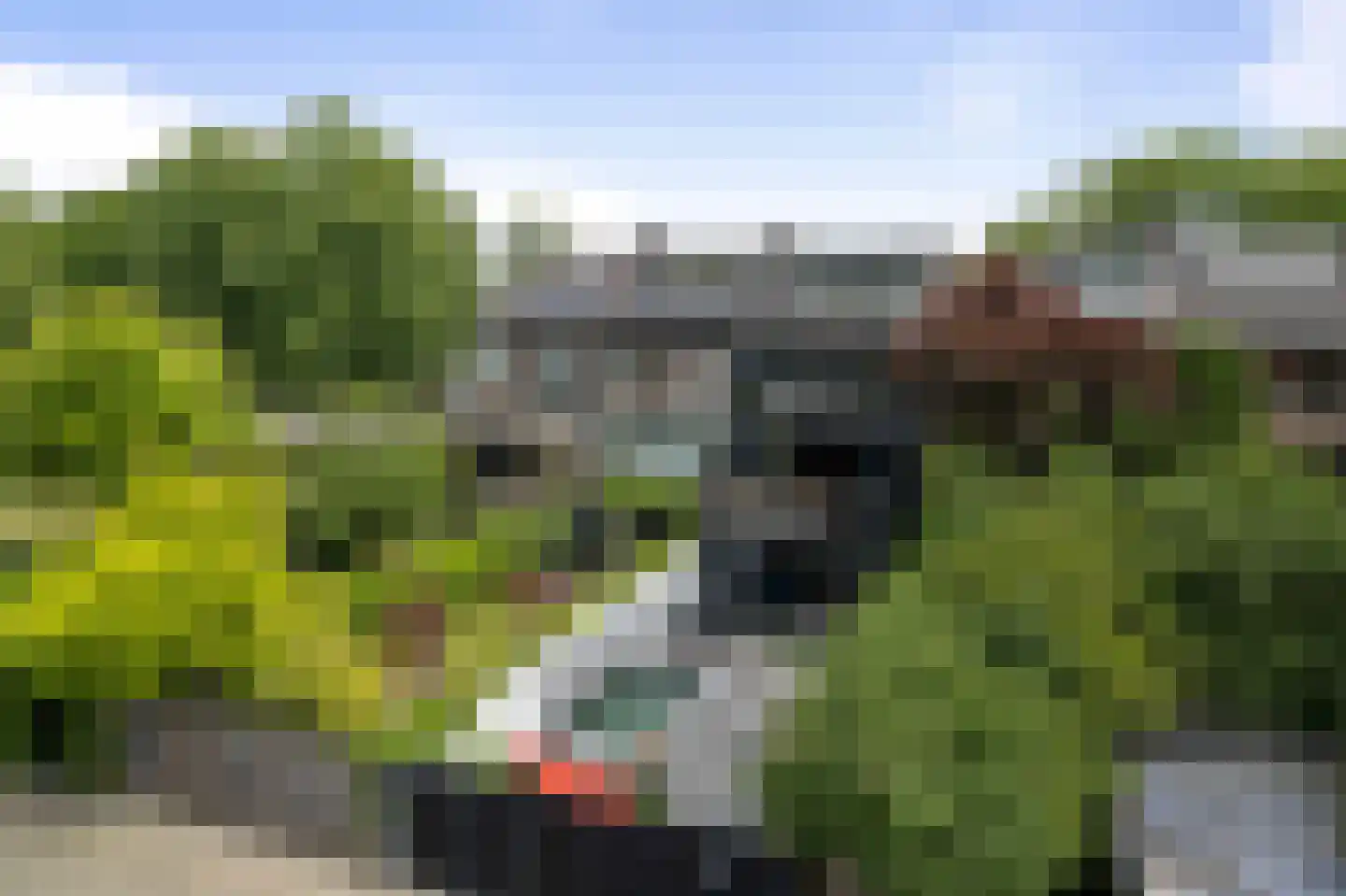 Veenweg 150 Deventer thumbnail 14