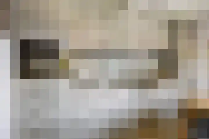 Veenweg 16 De Wilp thumbnail 15