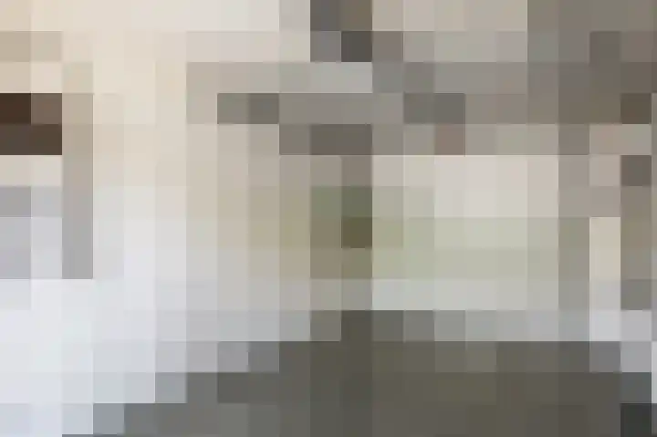 Veenweg 16 De Wilp thumbnail 18