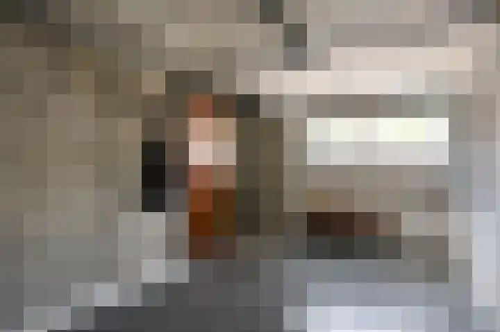 Veenweg 16 De Wilp thumbnail 19