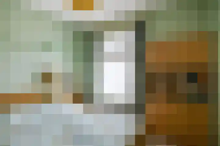 Veenweg 16 De Wilp thumbnail 20