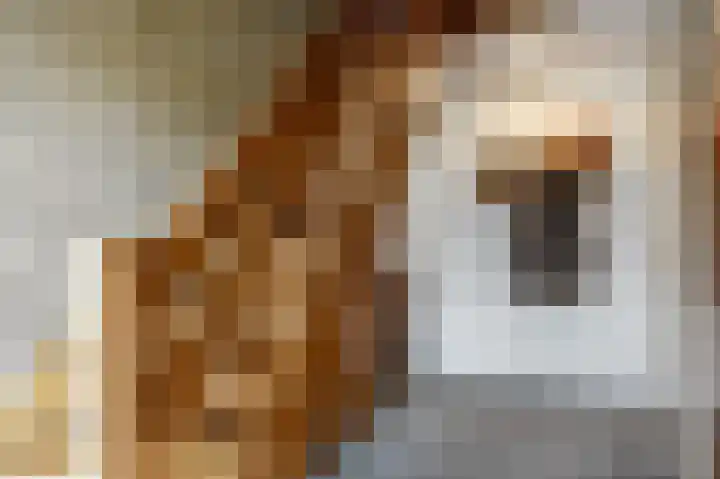 Veenweg 16 De Wilp thumbnail 25