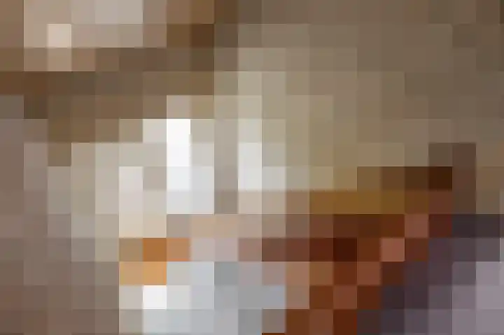 Veenweg 16 De Wilp thumbnail 26
