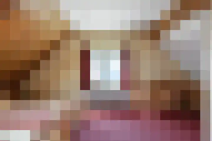 Veenweg 16 De Wilp thumbnail 27